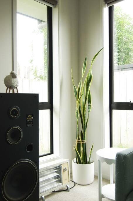 House In Hamilton Villa Ngoại thất bức ảnh